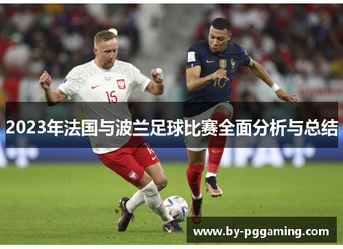 2023年法国与波兰足球比赛全面分析与总结